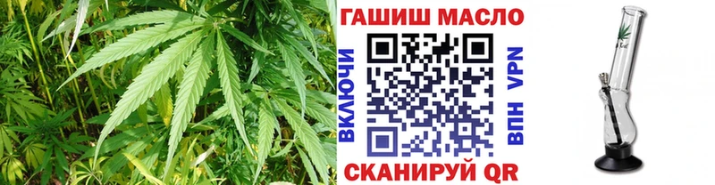 ТГК THC oil Купить закладки Завитинск