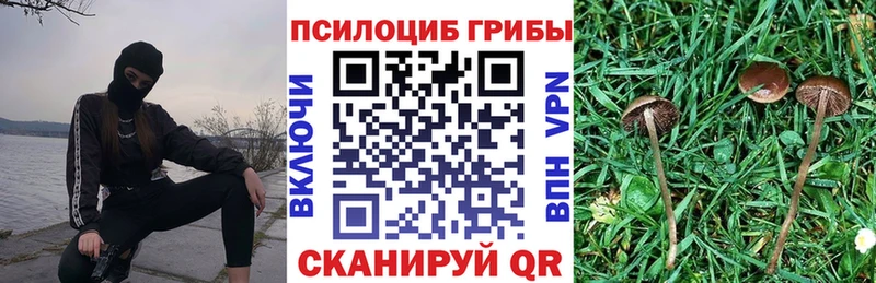 Псилоцибиновые грибы Magic Shrooms  Купить закладки  Завитинск 